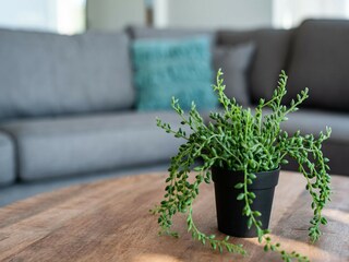 Apartamento Kamperland  67