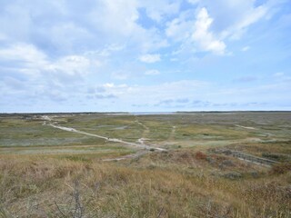 Boerderij De Cocksdorp Omgeving 21