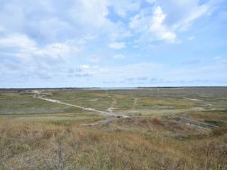 Farmhouse De Cocksdorp Environment 21