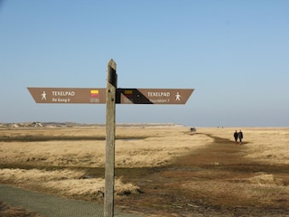 Type de propriété : Ferme De Cocksdorp Environnement 19
