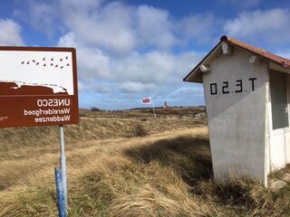 Boerderij De Cocksdorp Omgeving 21