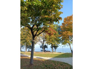 Appartamento Desenzano del Garda Ambiente 14