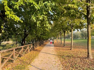 Appartamento Desenzano del Garda Ambiente 16