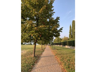 Appartamento Desenzano del Garda Ambiente 15