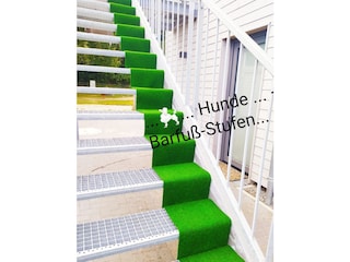 Treppe von vorn,1 Meter Stufen
