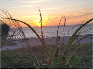 Von Balkon Blumen + Feder