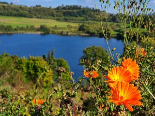 Casa per le vacanze Schalkenmehren Ambiente 32