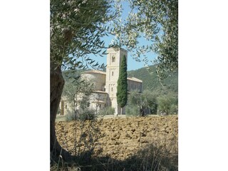 Casa de vacaciones Seggiano Entorno 34