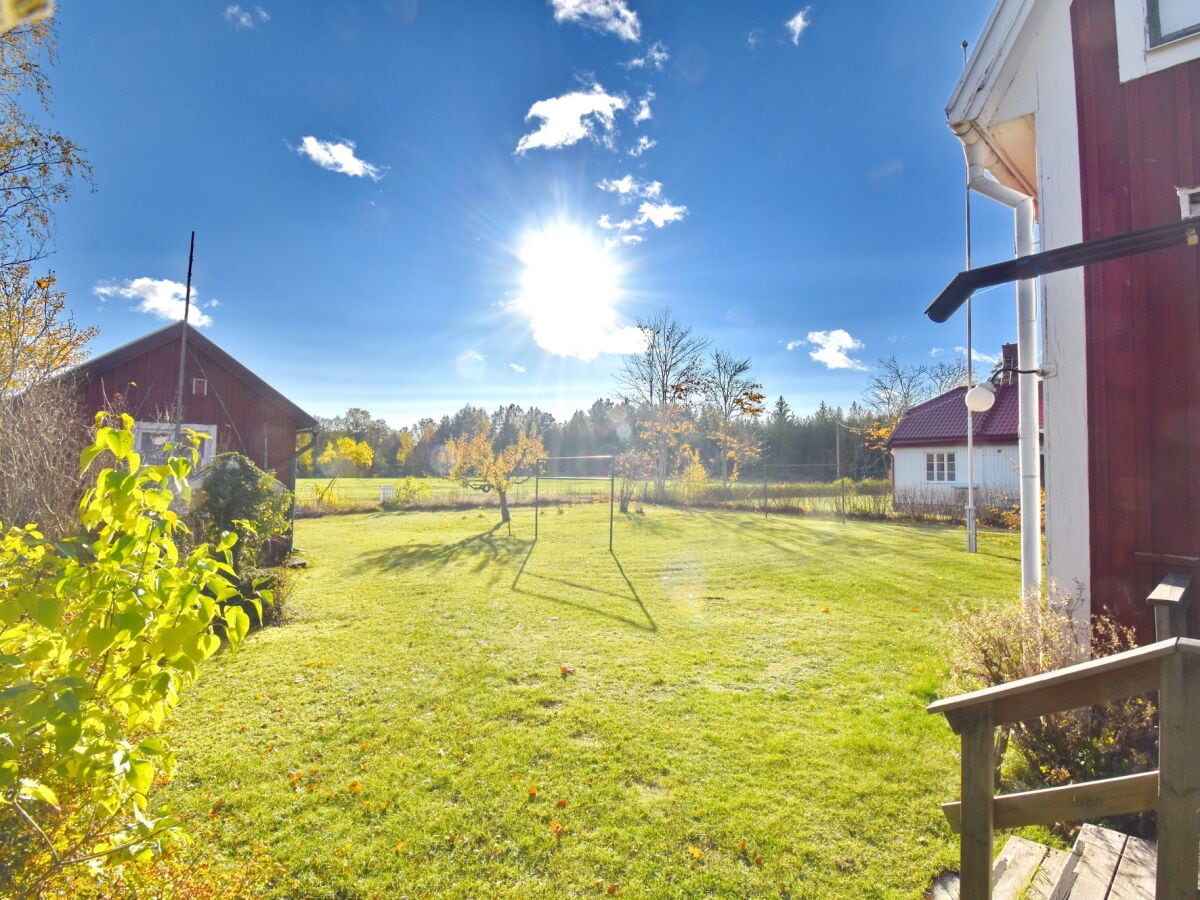 Blick in den Garten