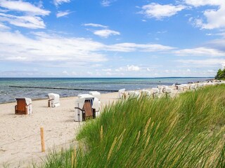Bungalow Weitendorf Umgebung 17