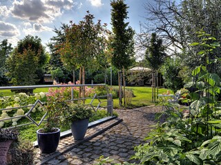 Blick in den Garten