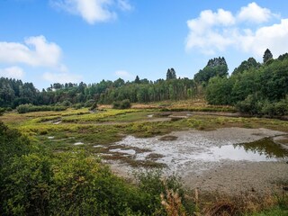 Vakantiehuis Bütgenbach Buitenaudio-opname 5