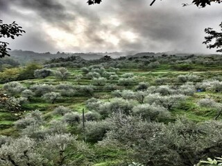 Chalet Marliana Ambiente 33