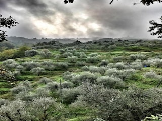 Chalet Marliana Ambiente 34