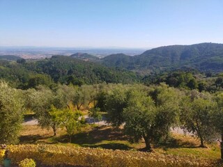 Chalet Marliana Entorno 33
