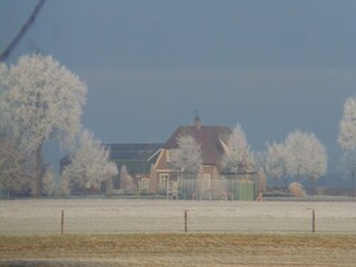 Ferienhaus Lemele Außenaufnahme 10