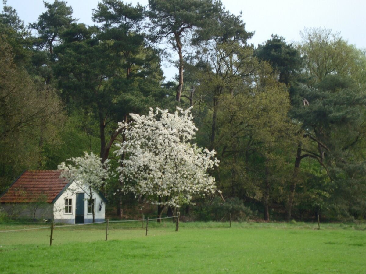 Ferienhaus Lemele Umgebung 36