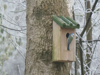 Casa per le vacanze Lemele Registrazione all'aperto 7