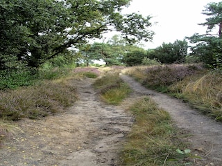 Casa per le vacanze Lemele Ambiente 35