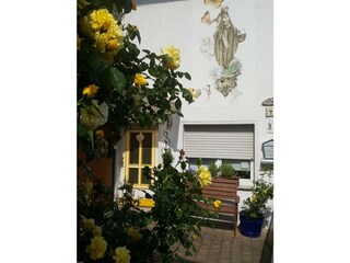 Appartement Bendorf am Rhein Enregistrement extérieur 10