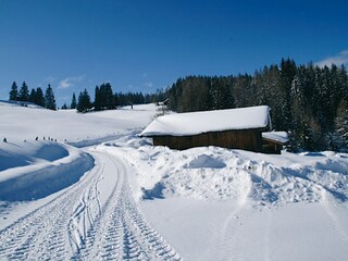 Capanna alpina Radstadt Registrazione all'aperto 4