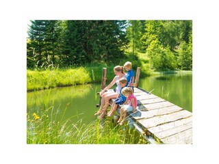 Capanna alpina Radstadt Ambiente 13