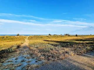 Maison de vacances Vaeggerløse  33