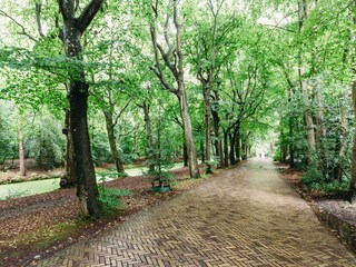 Casa per le vacanze Bergen (Holland) Ambiente 29