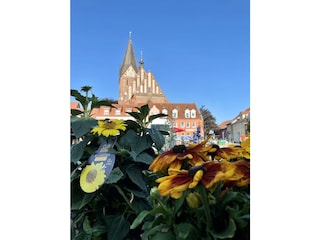 Holiday apartment Ribnitz-Damgarten Environment 35