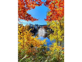 Apartamento de vacaciones Bad Sachsa Entorno 20