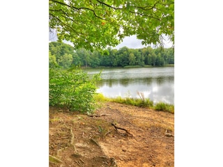 Apartamento de vacaciones Bad Sachsa Entorno 24