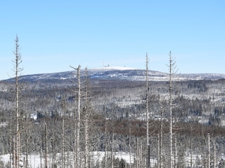 Apartamento de vacaciones Bad Sachsa Entorno 25