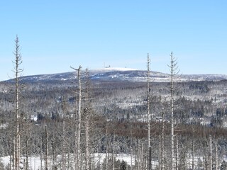 Appartamento per vacanze Bad Sachsa Ambiente 25