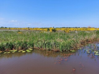 Holiday house Skaven Strand  39