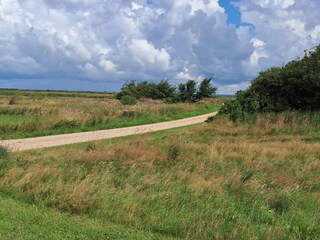 Ferienhaus Skaven Strand Außenaufnahme 6