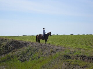 Vakantiehuis Rakow Omgeving 34