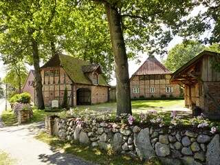 Vakantiehuis Neuenkirchen in der Lüneburger Heide Buitenaudio-opname 7