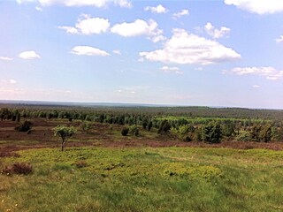 Vakantiehuis Neuenkirchen in der Lüneburger Heide Omgeving 20