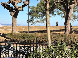 Blick zur Ostsee von der Terrasse