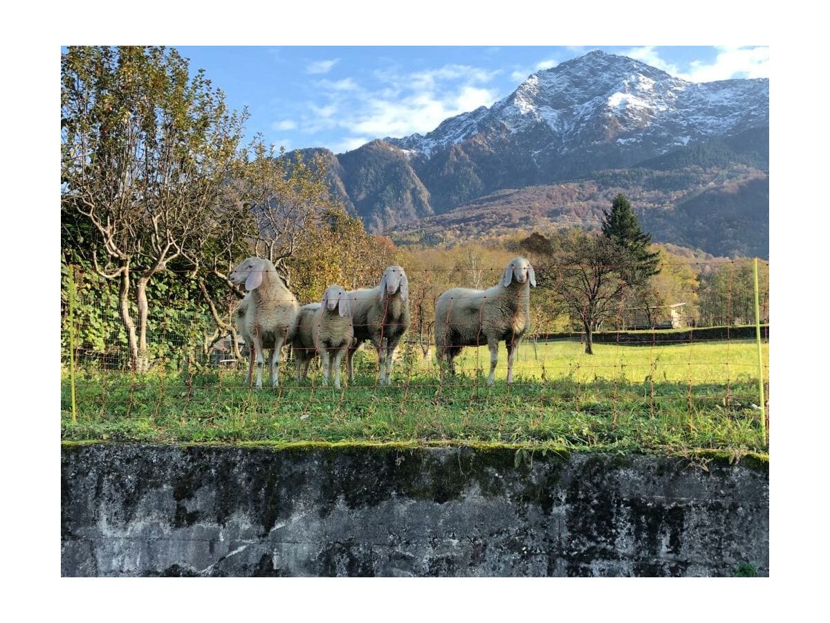 Ferienwohnung Colico Umgebung 38