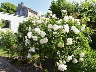 Maison de vacances Wrixum Enregistrement extérieur 3