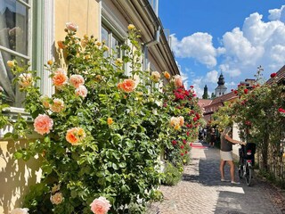 Holiday house Visby  7