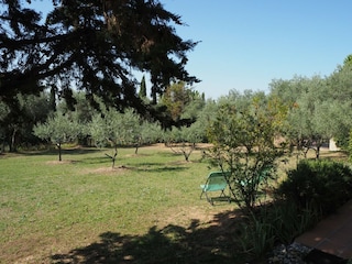 Ferienhaus Apt Außenaufnahme 6