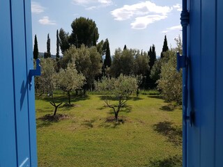 Casa per le vacanze Apt Registrazione all'aperto 2