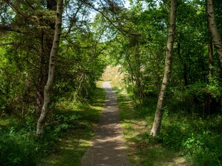 Apartamento de vacaciones Borkum Entorno 24