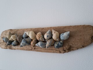 Apartamento de vacaciones Borkum Características 9