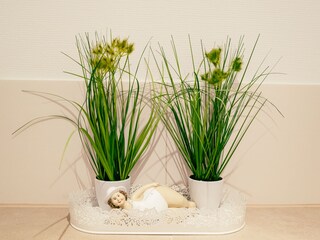 Apartamento de vacaciones Borkum Características 15