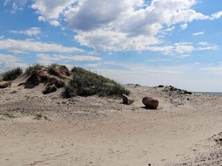 Ferienhaus Blixtorp  14