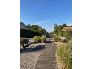 Casa de vacaciones Kamperland Grabación al aire libre 7