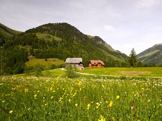 schaffer_01